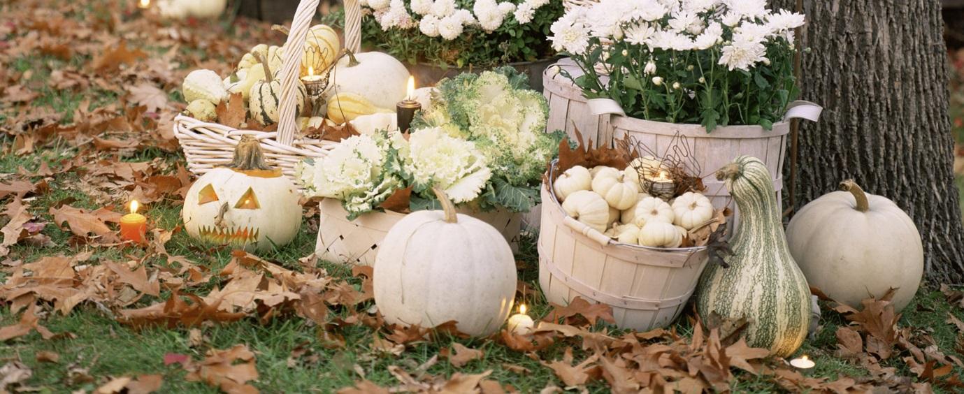 Fall Decor: Elegant Ways to Decorate with Pumpkins