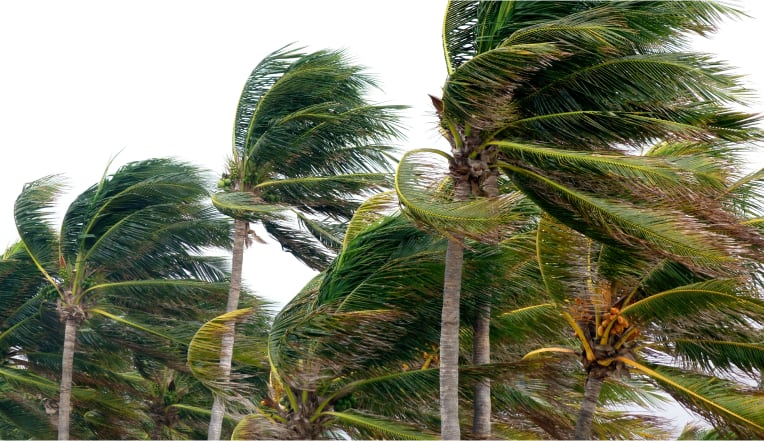 High Design Pressure