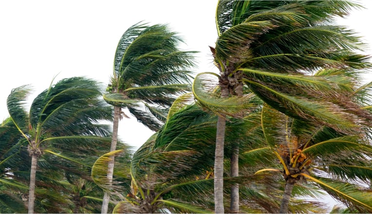 High Design Pressure