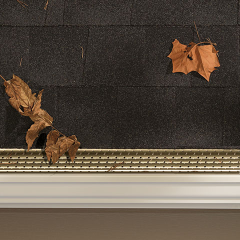 Leaf Logic Gutter Protection